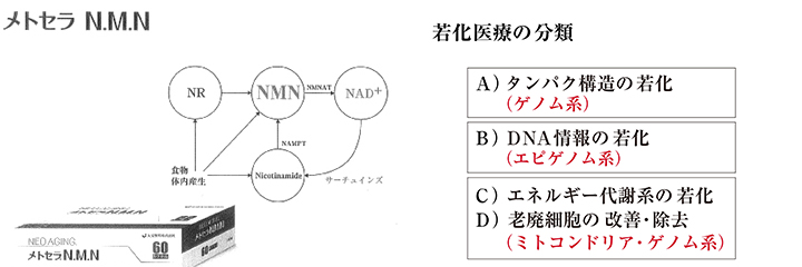 メトセラN.M.Nと若化医療の分類